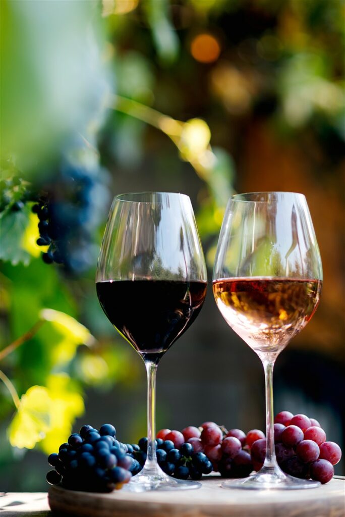 investir dans le vin et le vignoble